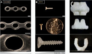 A Surgical Plate, Screw, and Clip 3D Printed in Silk by RDA/Hallym